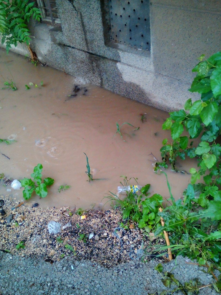 В 21 век: Врачани газят във вода и кал, за да стигнат дo домовете си (СНИМКИ/ВИДЕО)