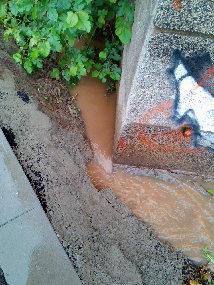 В 21 век: Врачани газят във вода и кал, за да стигнат дo домовете си (СНИМКИ/ВИДЕО)