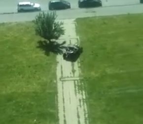 Водач смая цял "Люлин" с шофирането си, хората питат от кое село е дошъл в столицата (ВИДЕО)