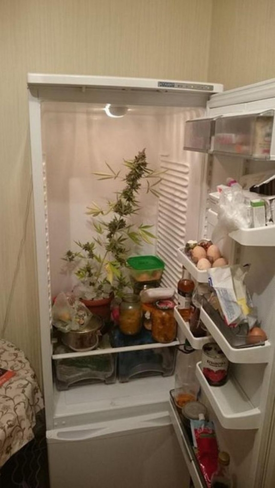 Пълен потрес! Тези СНИМКИ ще оставят без думи дори и най-бъбривите!