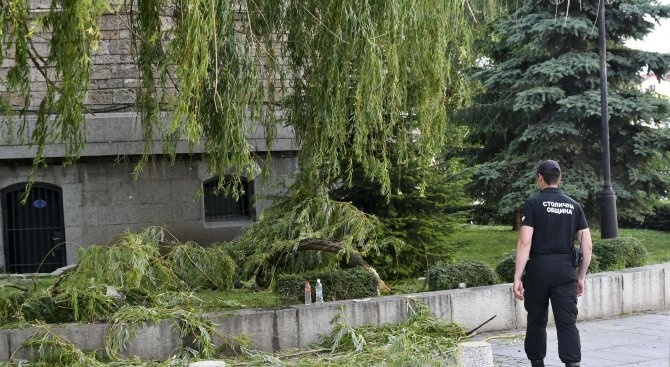 Сигнал до БЛИЦ! Клон падна върху главата на мъж пред църквата "Света Неделя" в София (СНИМКИ)
