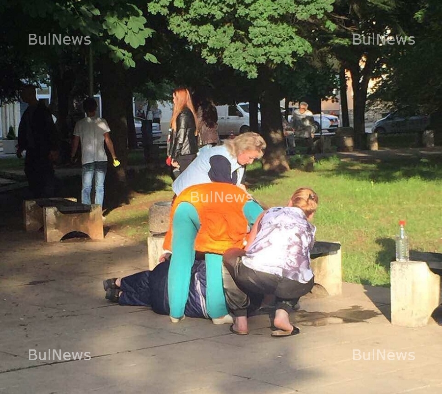 Паника във врачански парк! Деца пищят заради... (СНИМКИ)