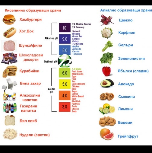 Коя храна е алкална или киселинна, защо това е толкова важно за здравето ни, как да изчислим pH-то си и дали е в норма (ТАБЛИЦА)