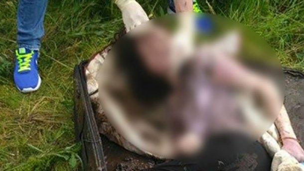 Брутално ВИДЕО (18+) от Украйна с натъпкания в куфар труп на българската студентка Еля (СНИМКИ)