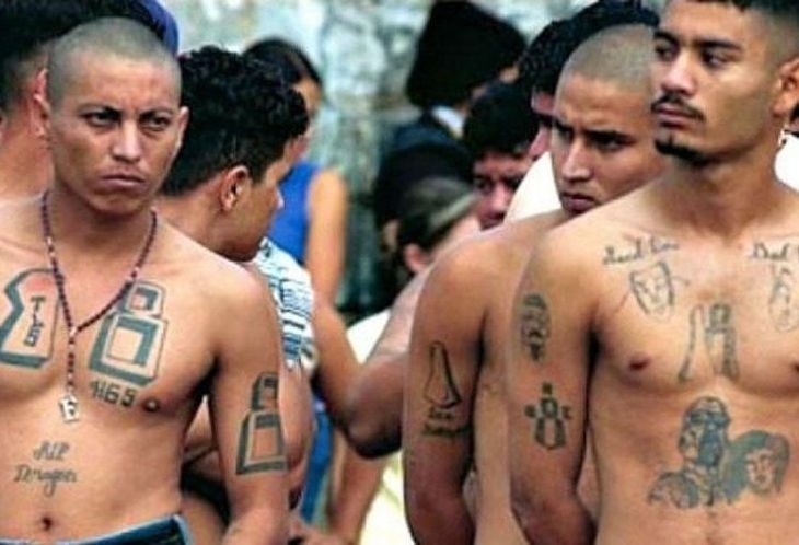 Вижте коя е MS-13: Бандата, вдъхновила бургаските ММА мутри да върнат спомена за 90-те с девиза: Убивай, изнасилвай, контролирай (СНИМКИ/ВИДЕО)