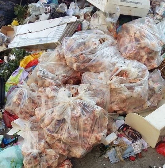 Отврат! Гнусна гледка край оградите на пловдивско училище и забавачка (СНИМКИ)