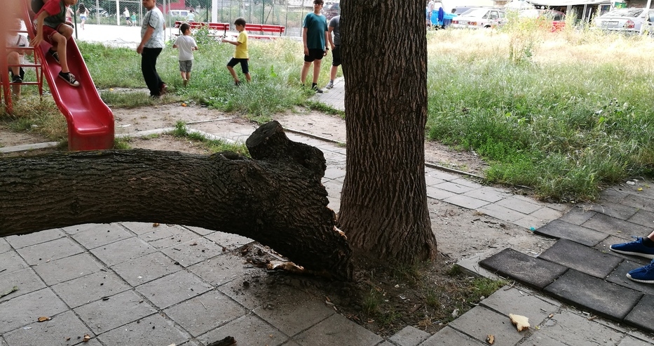 Варненци изтръпнаха от тази случка насред детска площадка (СНИМКИ)