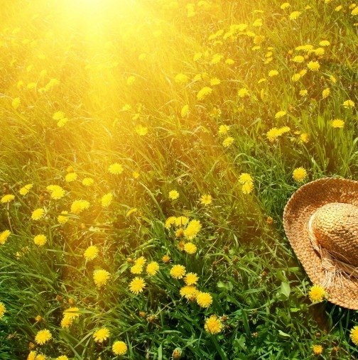 Месечен хороскоп за юли - 4 зодии ще бъдат щастливи! Късметът ще огрее и на тяхната улица най-после!