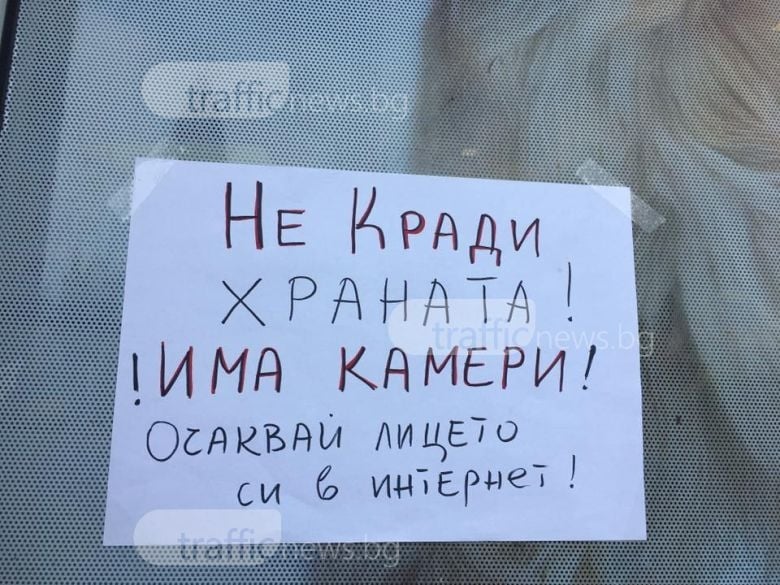 Нагла пловдивчанка краде храна за животни (СНИМКИ/ВИДЕО) 