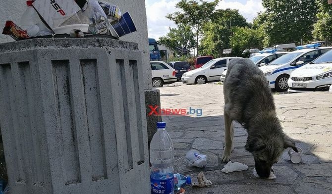 В КАТ-Хасково вчера е било нещо страшно (СНИМКИ)