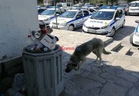 В КАТ-Хасково вчера е било нещо страшно (СНИМКИ)