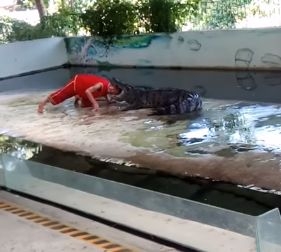 Жестоко ВИДЕО (18+) от Тайланд: Крокодил едва не откъсна главата на треньора си пред очите на шепа туристи 