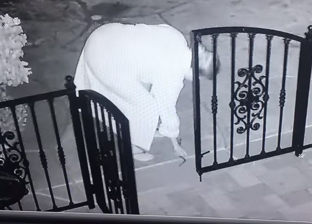 В тъмното: Домакиня обърка змия с играчка, но го разбра твърде късно  и... (ВИДЕО)