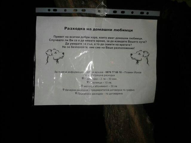 Нова услуга в София: Разхождат кучето наместо вас!