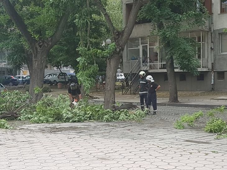 Страшно природно явление е причинило погрома в Пловдив