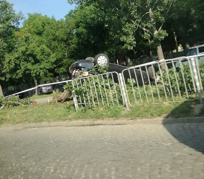 Извънредно и първо в БЛИЦ: Адско меле на бул. "Цар Борис III", кола виси на дърво (СНИМКИ) 