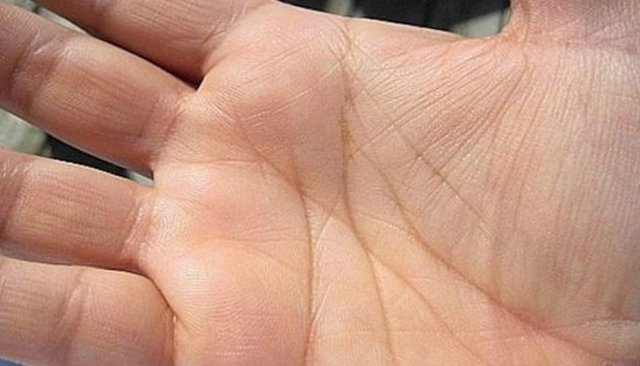 Как да разгадаем бъдещето си по линията на ръката
