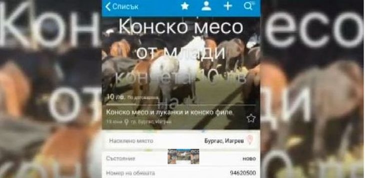 И таз добра! Бургазлийка продава месо от жребчета по Интернет (СНИМКА)