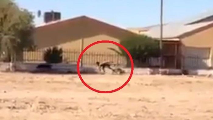 Шок: Млад мъж се превърна в куче - ходи на четири крака и лае непознати (ВИДЕО)