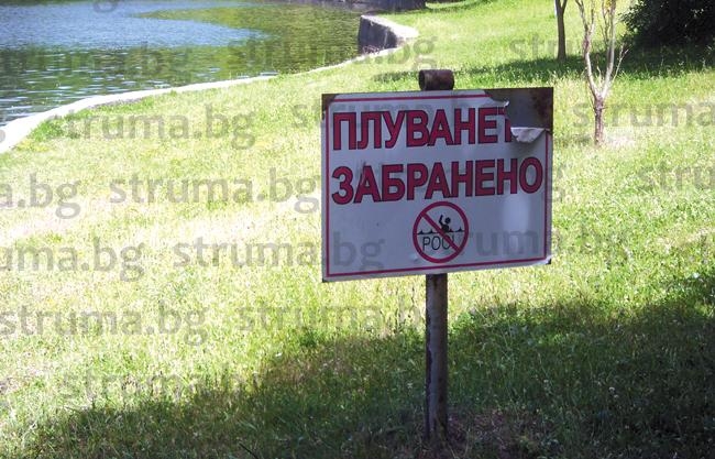 Роми на тумби превзеха перлата на Благоевград! Свинщините, които вършат са безчет (СНИМКИ)