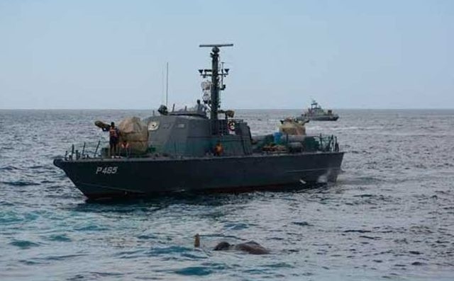 12 часа спасяваха слон, озовал се в открито море (СНИМКИ/ВИДЕО)