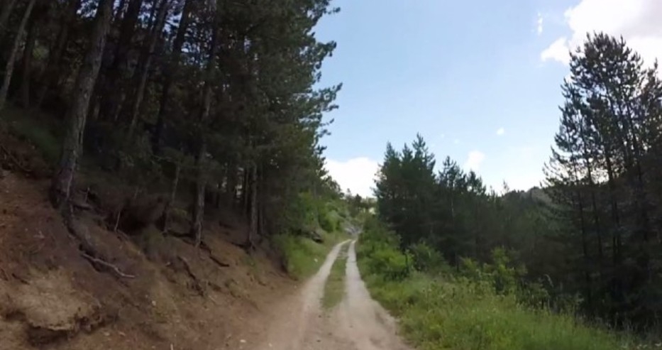 Разлепят листовки по дърветата за беглеца от Триград: Не си ги убил, прибирай се!