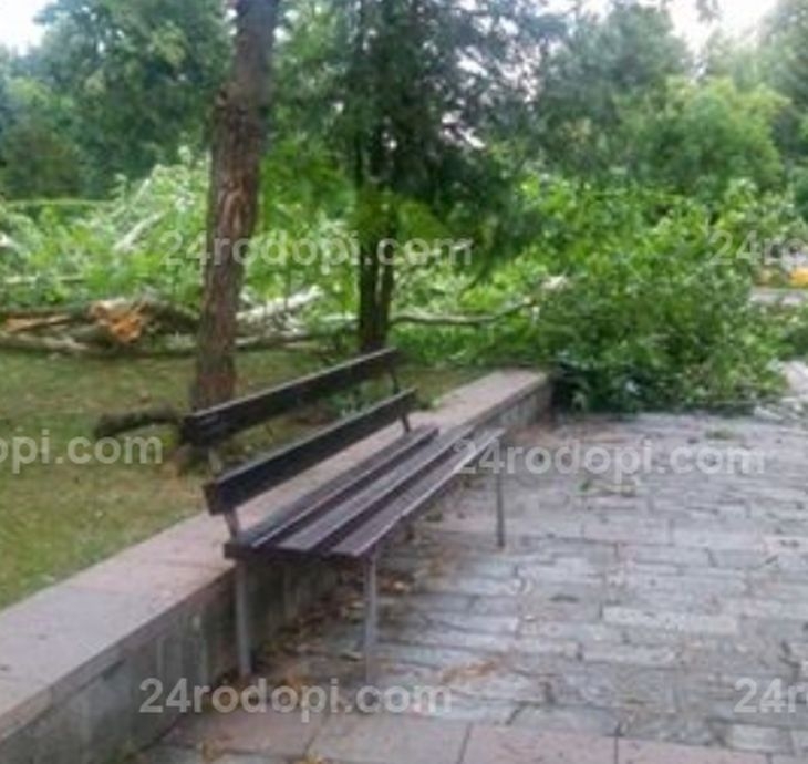 Джебелчани за апокалиптичната гръмотевична буря: Беше за кратко, но ужас! Цели дървета се чупеха, покриви падаха, съсипа града ни! (СНИМКИ)