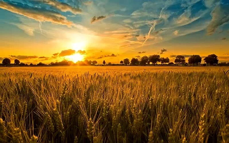 Днес започват Горещниците, спазват се 3 много важни забрани! Огънят слиза с гръм и светкавици на земята