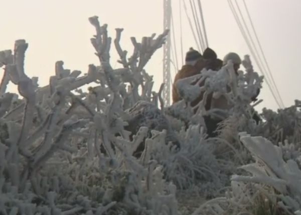 Нещо невиждано от 50 години потресе Бразилия (ВИДЕО)