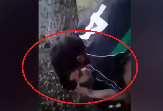 Отвратително и потресаващо ВИДЕО от парка в Бяла Слатина