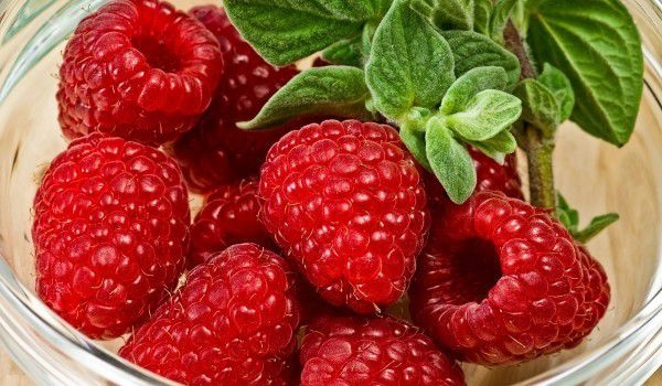 Внимание! Заразени с коварен вирус български малини хванати във Франция, спряха ги от продажба