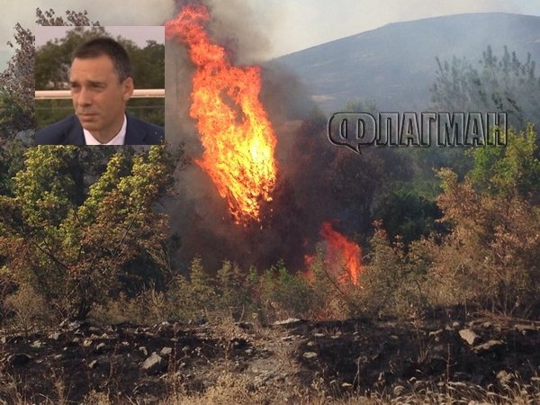 Бургаският кмет в сърцето на огнената стихия: Пламнала е вилната зона "Каптажа"