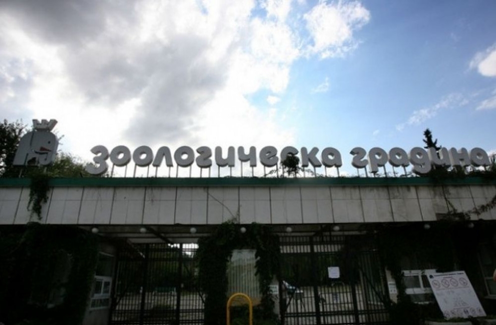 Кои са най-новите обитатели на Софийския зоопарк?