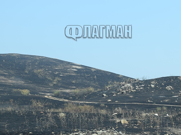 Покъртителни СНИМКИ показват какво остана след огнения ужас край Бургас!