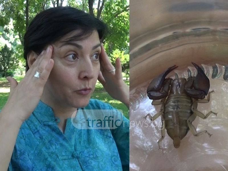 Пловдивчанка влезе под душа, за да се изкъпе, но преживя най-големия ужас в живота си (ВИДЕО)