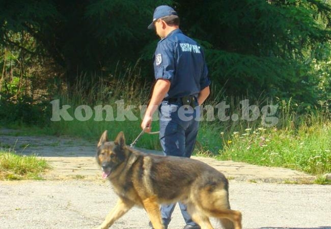 Пенсионерка изчезна след свирепата градушка в Монтанско, още я издирват 