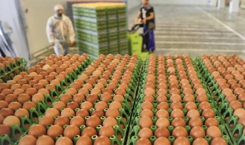 Унгария също реагира на кризата със заразените яйчни продукти