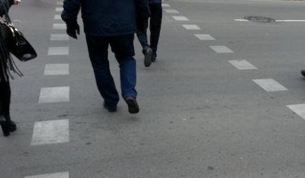 Шофьор на рейс помете дядо на пешеходна пътека, старецът бере душа