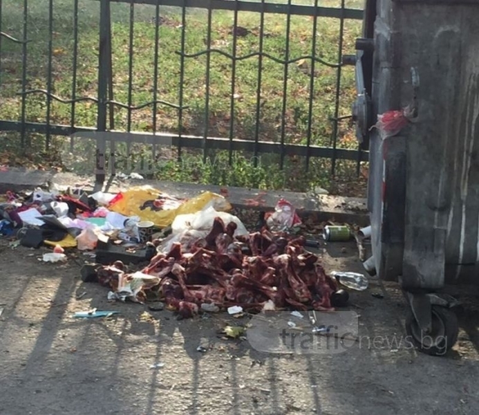 Кланица на тротоар в Европейската столица на културата! Кръв, кости и месо се търкалят пред очите на всички (СНИМКИ 18+)