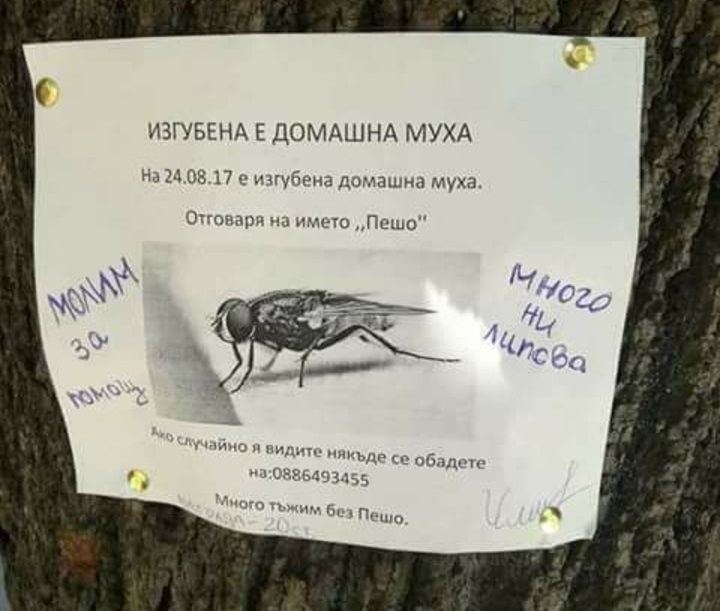 Народът откачи: В Благоевград се сгъват от смях, когато четат тази обява