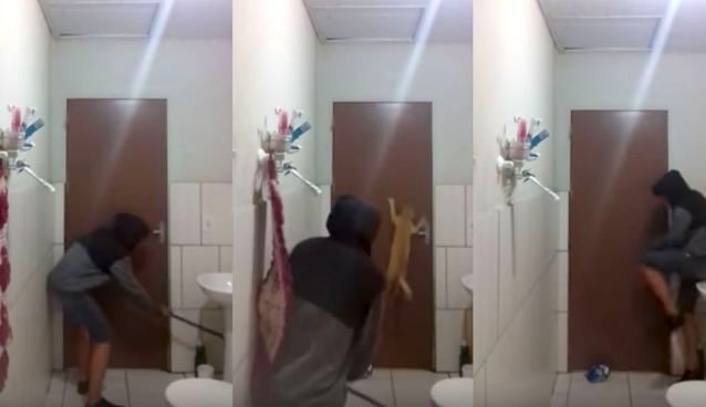 Младеж се опита да хване плъх заедно с котката си, но нещо много лошо се обърка (ВИДЕО)