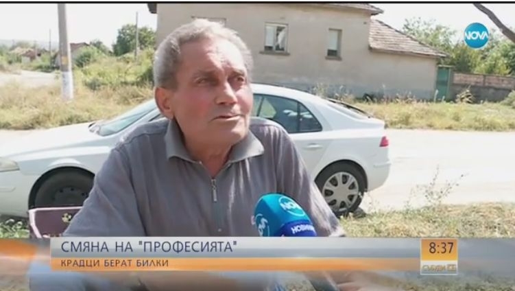 Нова страшна далавера в България: Крадци смениха професията - берат билки и... (ВИДЕО)