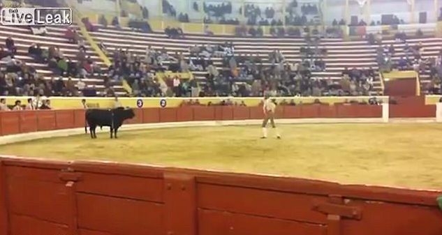 Ужасяващи кадри! Матадор се опита да пребори бик с голи ръце, но схватката завърши с фатален край (СНИМКИ/ВИДЕО 18+)
