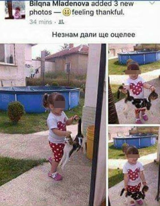 Само в БЛИЦ! Фейсбук въстана срещу майка, дала на момиченцето си да се гаври с котенце (СНИМКИ)