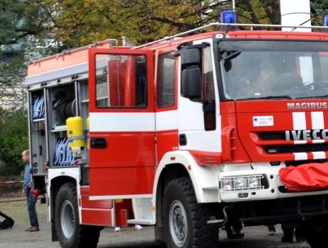 Зрелищна акция в Пампорово: Пожарникари спасяваха кон, пропаднал в 3-метрова шахта 