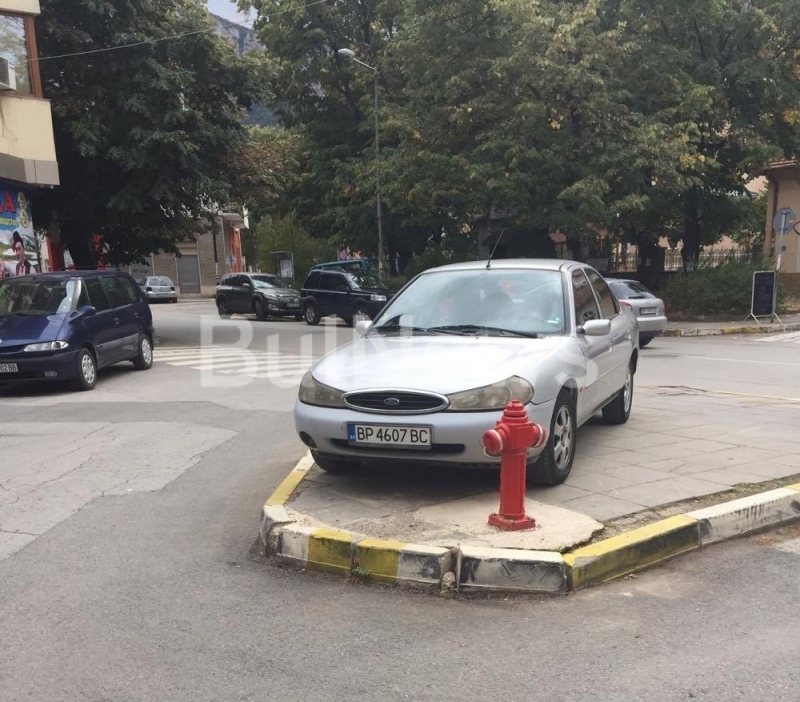 Този нагъл врачанин счупи всички рекорди (СНИМКИ)