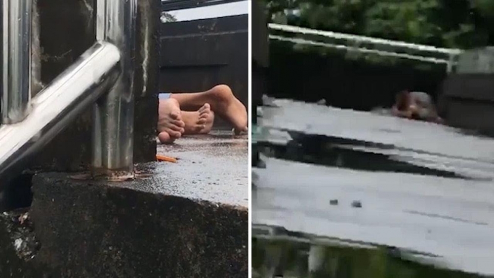 Страстна двойка се впусна в сексуални ласки на мост посред бял ден, блокираха движението (СНИМКИ/ВИДЕО 18+)