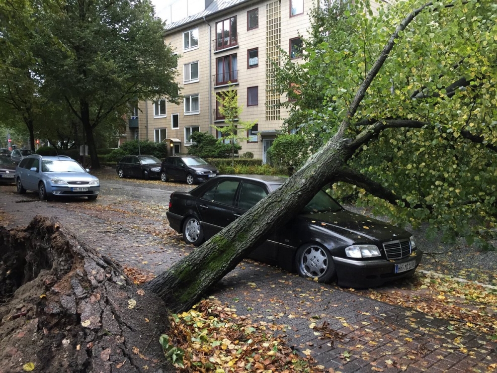 Извънредно положение в Хамбург и Берлин, има жертви! Ето какво се случва (СНИМКИ/ВИДЕО)