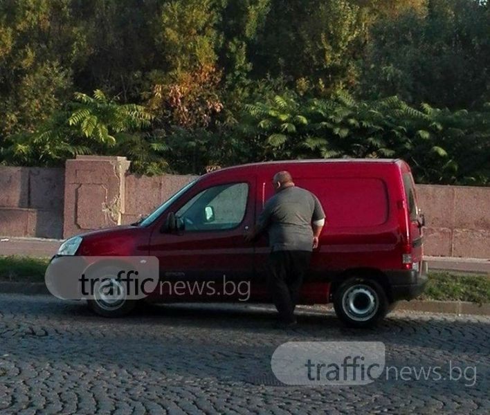 В европейската столица на културата е така! Пловдивчанин източи гущера на оживен булевард посред бял ден (СНИМКИ)