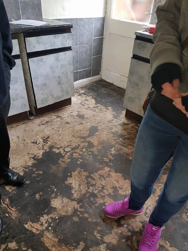 Къщата на ужасите! Самотна майка с дете аутист отиде на оглед и преживя най-големия си кошмар (СНИМКИ) 
